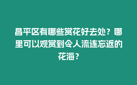 昌平區有哪些賞花好去處？哪里可以觀賞到令人流連忘返的花海？