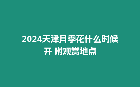 2024天津月季花什么時候開 附觀賞地點
