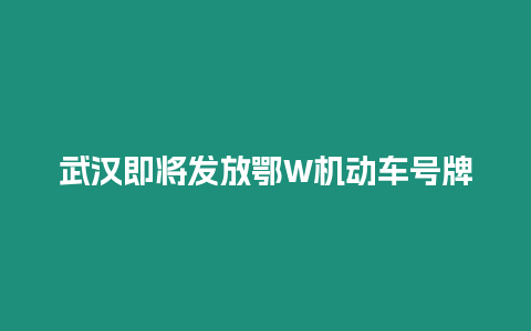 武漢即將發(fā)放鄂W機動車號牌