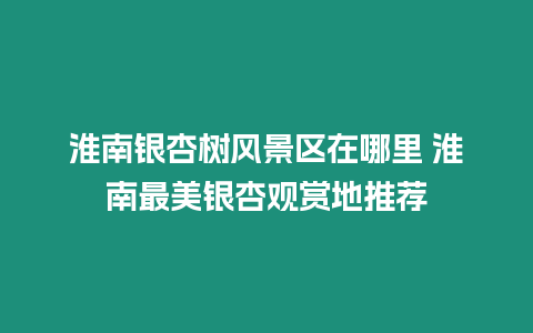 淮南銀杏樹風景區在哪里 淮南最美銀杏觀賞地推薦