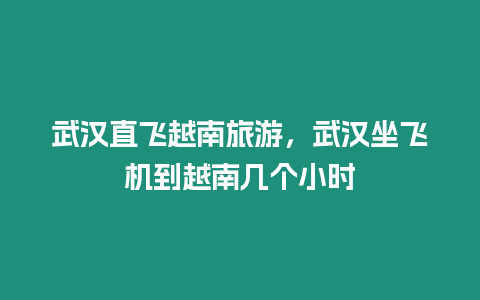 武漢直飛越南旅游，武漢坐飛機到越南幾個小時