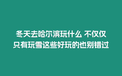 冬天去哈爾濱玩什么 不僅僅只有玩雪這些好玩的也別錯過