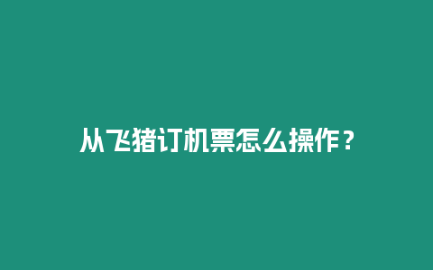 從飛豬訂機(jī)票怎么操作？