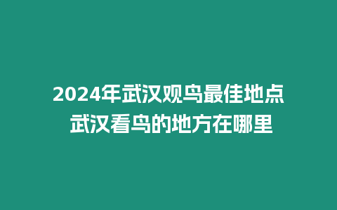 2024年武漢觀鳥最佳地點 武漢看鳥的地方在哪里