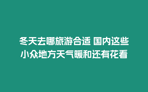 冬天去哪旅游合適 國內(nèi)這些小眾地方天氣暖和還有花看
