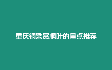 重慶銅梁賞楓葉的景點(diǎn)推薦