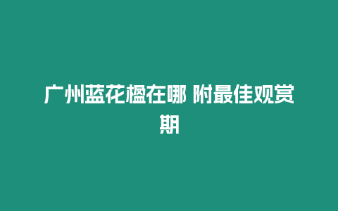 廣州藍(lán)花楹在哪 附最佳觀賞期