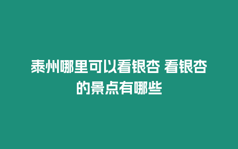 泰州哪里可以看銀杏 看銀杏的景點(diǎn)有哪些