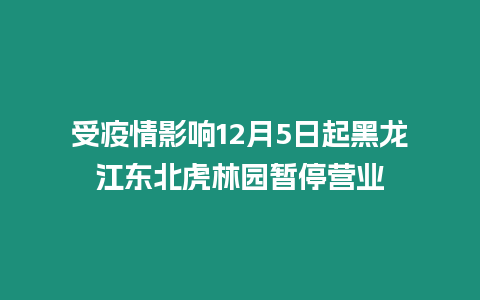 受疫情影響12月5日起黑龍江東北虎林園暫停營業