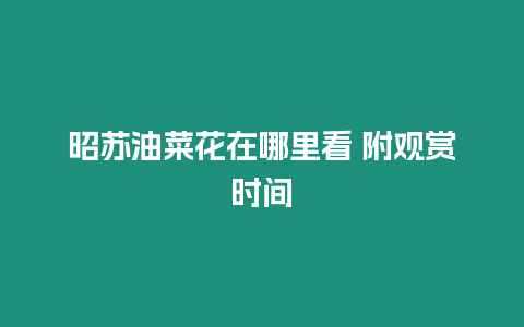 昭蘇油菜花在哪里看 附觀賞時(shí)間