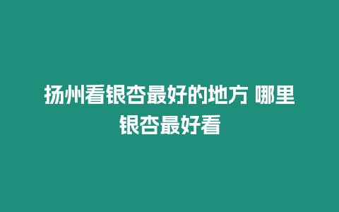 揚州看銀杏最好的地方 哪里銀杏最好看