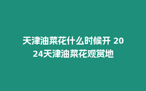 天津油菜花什么時(shí)候開 2024天津油菜花觀賞地