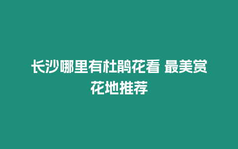 長沙哪里有杜鵑花看 最美賞花地推薦