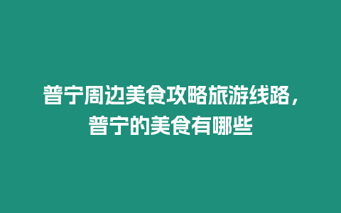 普寧周邊美食攻略旅游線路，普寧的美食有哪些