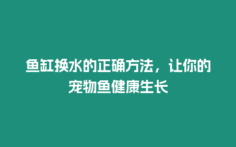 魚缸換水的正確方法，讓你的寵物魚健康生長