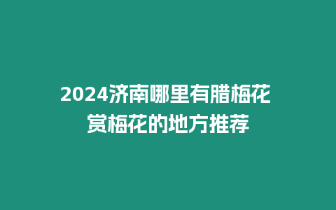 2024濟南哪里有臘梅花 賞梅花的地方推薦