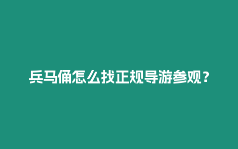 兵馬俑怎么找正規導游參觀？