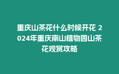 重慶山茶花什么時候開花 2024年重慶南山植物園山茶花觀賞攻略