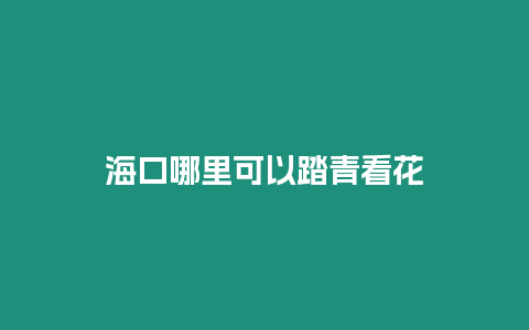 海口哪里可以踏青看花