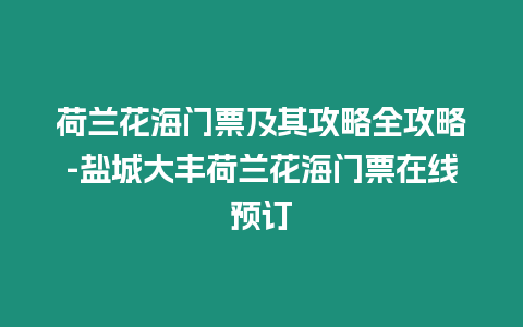 荷蘭花海門票及其攻略全攻略-鹽城大豐荷蘭花海門票在線預訂