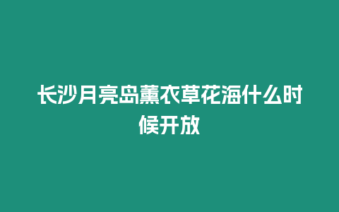 長沙月亮島薰衣草花海什么時(shí)候開放