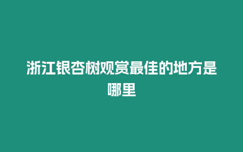 浙江銀杏樹觀賞最佳的地方是哪里