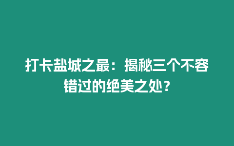 打卡鹽城之最：揭秘三個不容錯過的絕美之處？