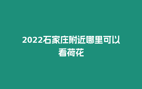 2022石家莊附近哪里可以看荷花