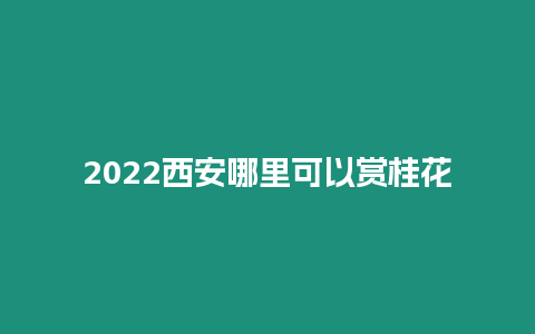 2024西安哪里可以賞桂花