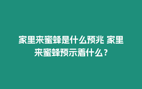 家里來蜜蜂是什么預(yù)兆 家里來蜜蜂預(yù)示著什么？