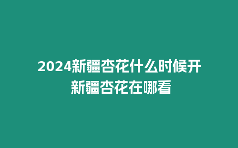 2024新疆杏花什么時候開 新疆杏花在哪看