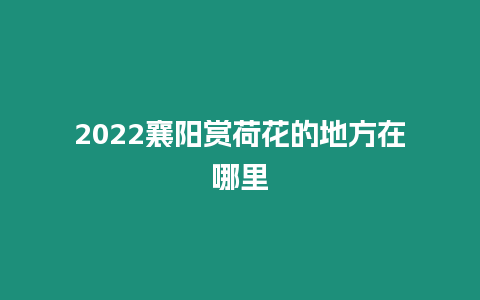 2024襄陽賞荷花的地方在哪里