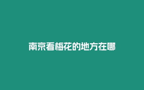 南京看梅花的地方在哪