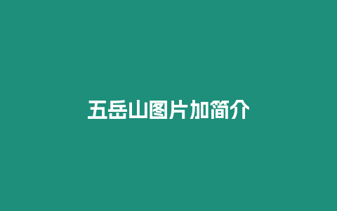 五岳山圖片加簡(jiǎn)介