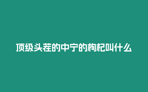 頂級頭茬的中寧的枸杞叫什么