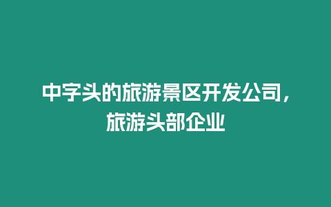 中字頭的旅游景區(qū)開發(fā)公司，旅游頭部企業(yè)