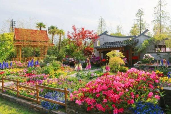 2024上海12月花展活動匯總(活動時間+地點)