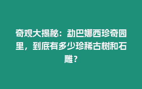 奇觀大揭秘：勐巴娜西珍奇園里，到底有多少珍稀古樹和石雕？