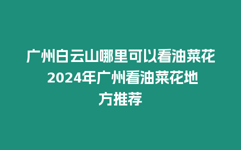 廣州白云山哪里可以看油菜花 2024年廣州看油菜花地方推薦