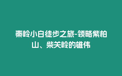 秦嶺小白徒步之旅-領略紫柏山、柴關嶺的雄偉
