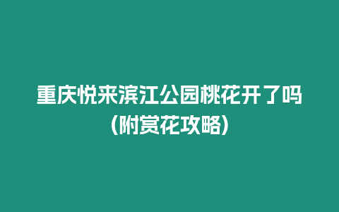 重慶悅來濱江公園桃花開了嗎(附賞花攻略)