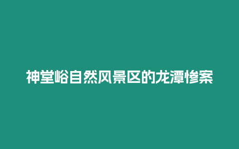 神堂峪自然風(fēng)景區(qū)的龍?zhí)稇K案