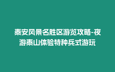 泰安風(fēng)景名勝區(qū)游覽攻略-夜游泰山體驗(yàn)特種兵式游玩