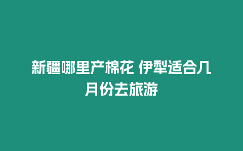 新疆哪里產棉花 伊犁適合幾月份去旅游