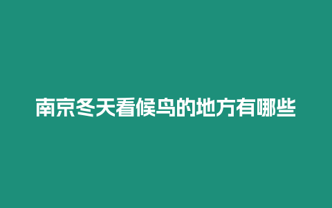 南京冬天看候鳥(niǎo)的地方有哪些