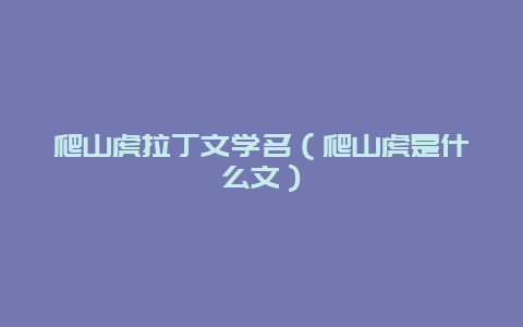 爬山虎拉丁文學名（爬山虎是什么文）