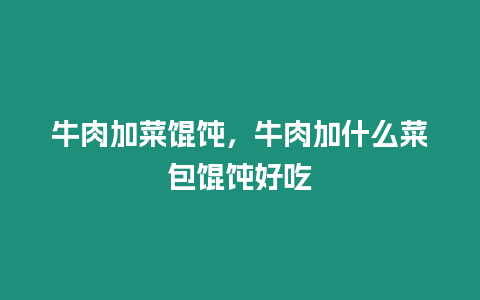 牛肉加菜餛飩，牛肉加什么菜包餛飩好吃