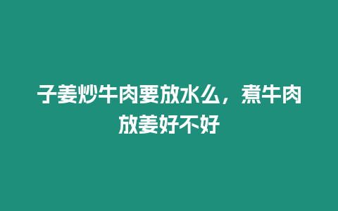 子姜炒牛肉要放水么，煮牛肉放姜好不好