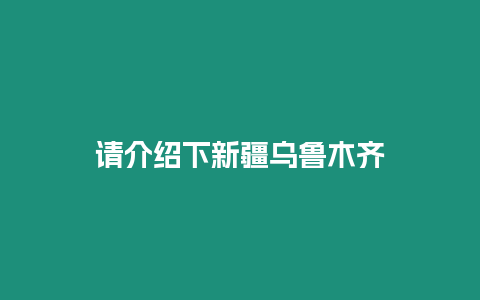 請介紹下新疆烏魯木齊