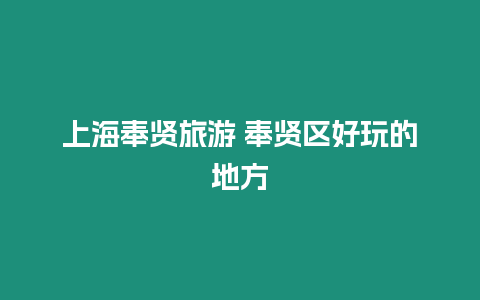 上海奉賢旅游 奉賢區好玩的地方